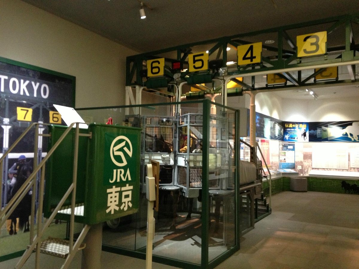 🏇 도쿄 경마장 이미지 4